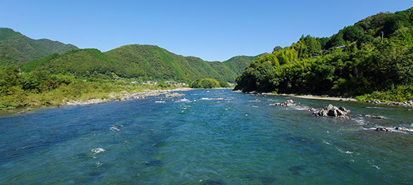 アクティビティー