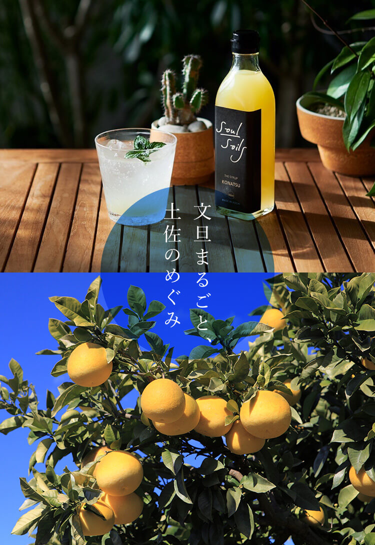 文旦シロップ 300ml【Soul Soils】 - 画像 (5)
